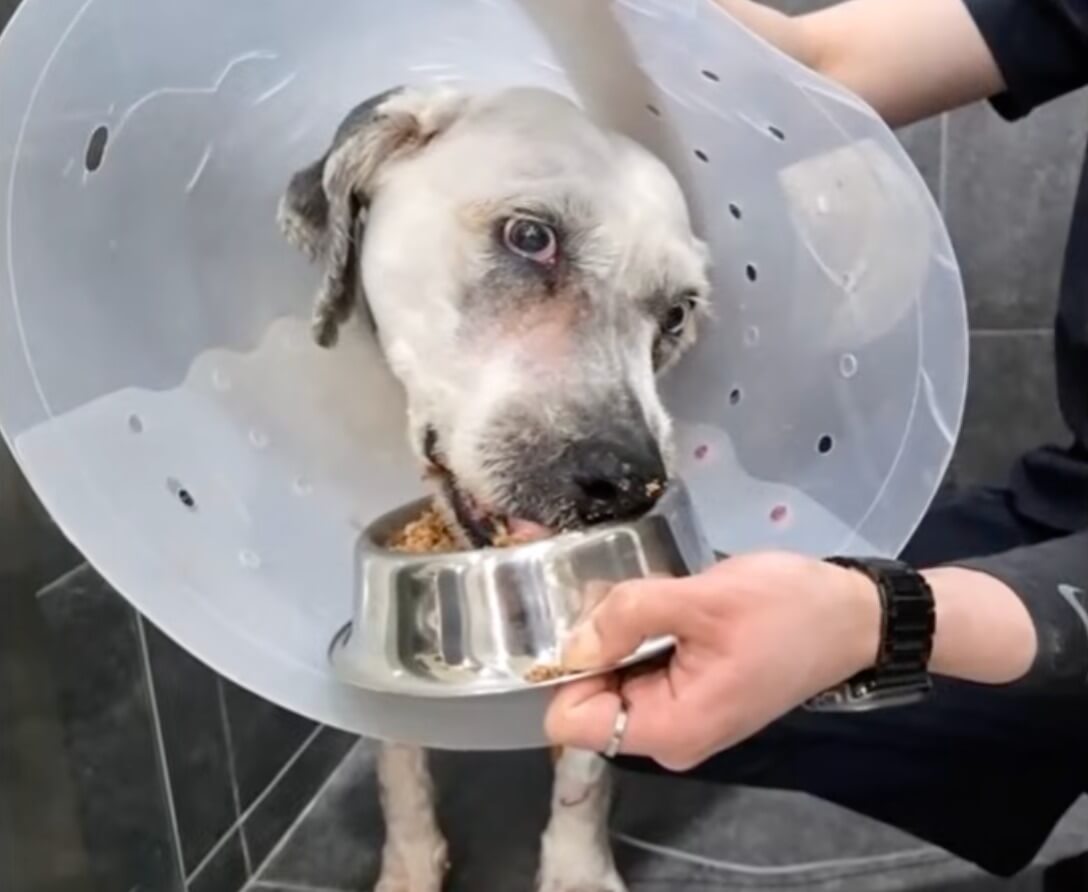 Marin at the vet clinic