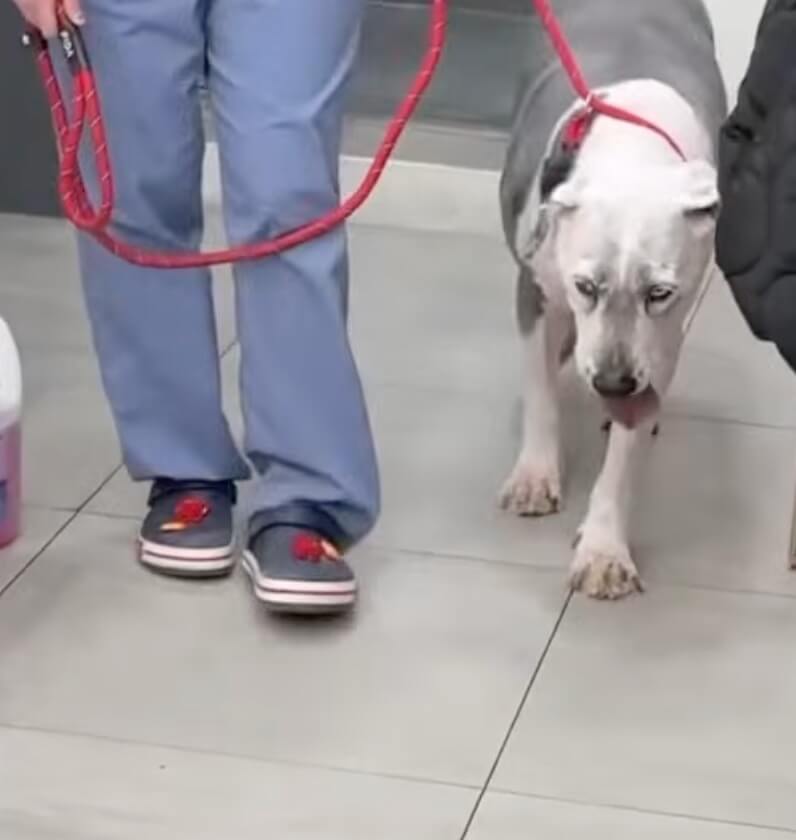 Marin recovering today