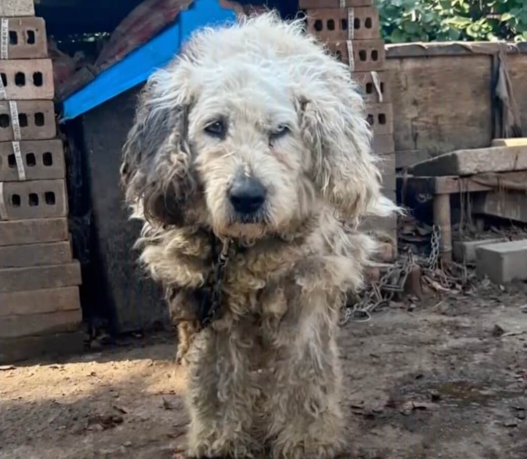 Marin's condition initially