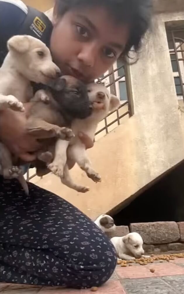 Other puppies also thriving today