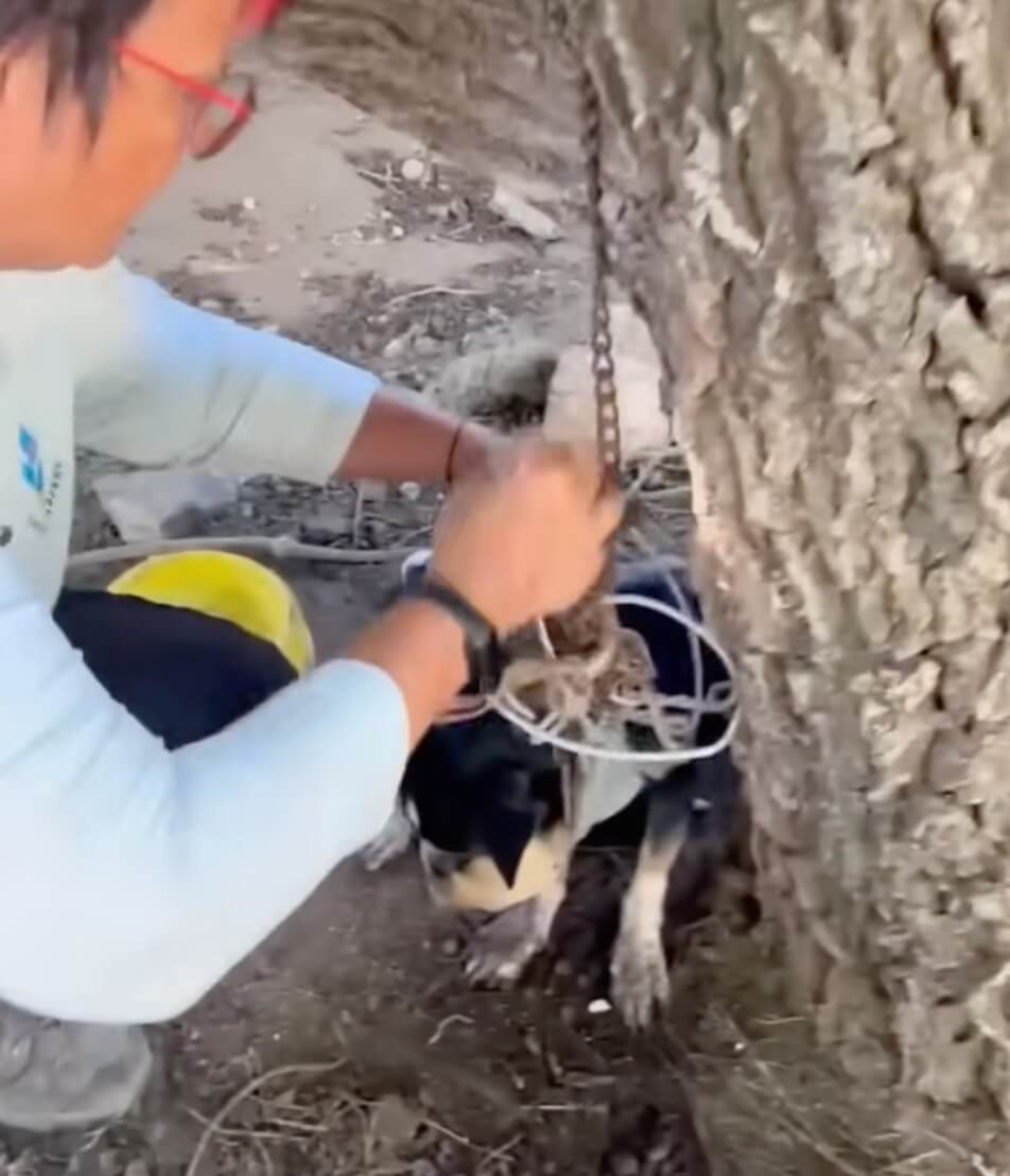 Rescuers freeing her