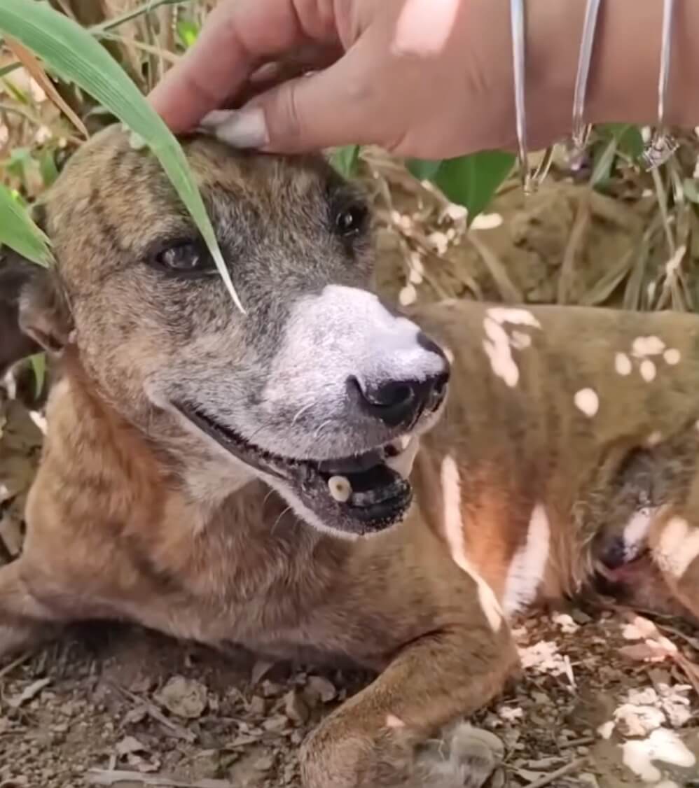 When rescuers found him