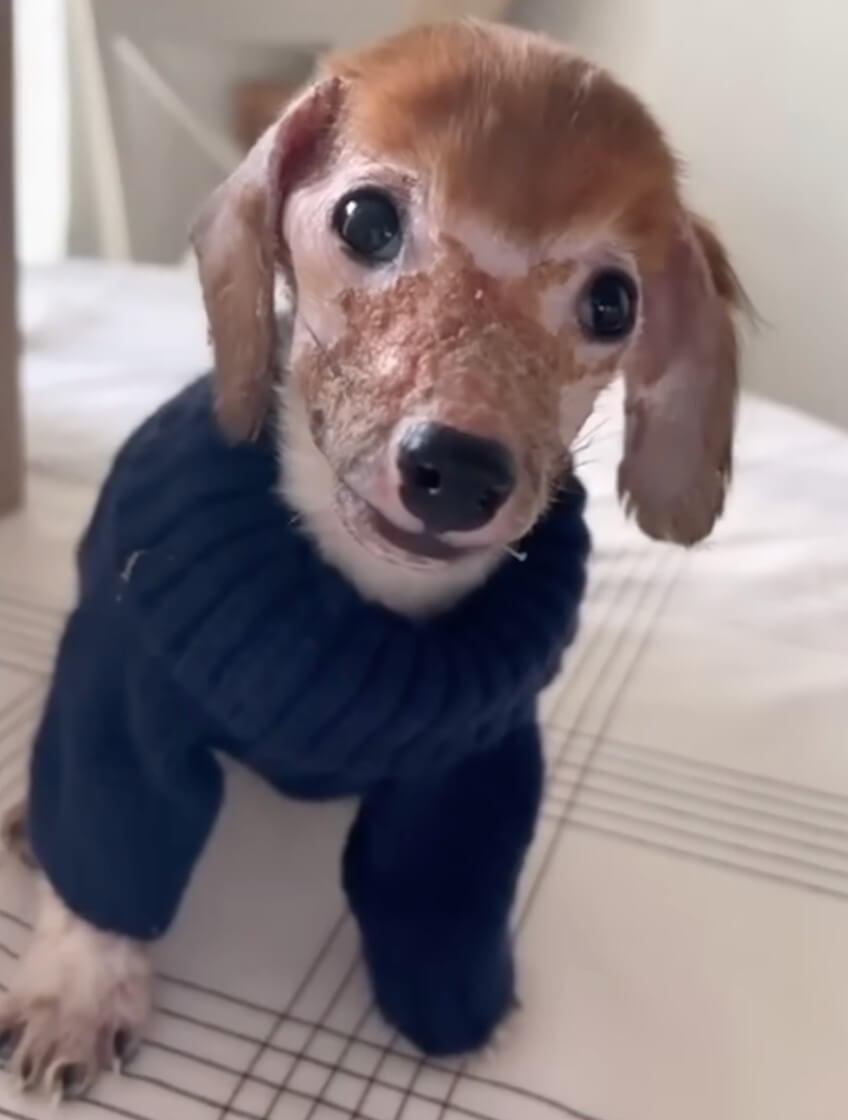 Willie at the home getting treatment