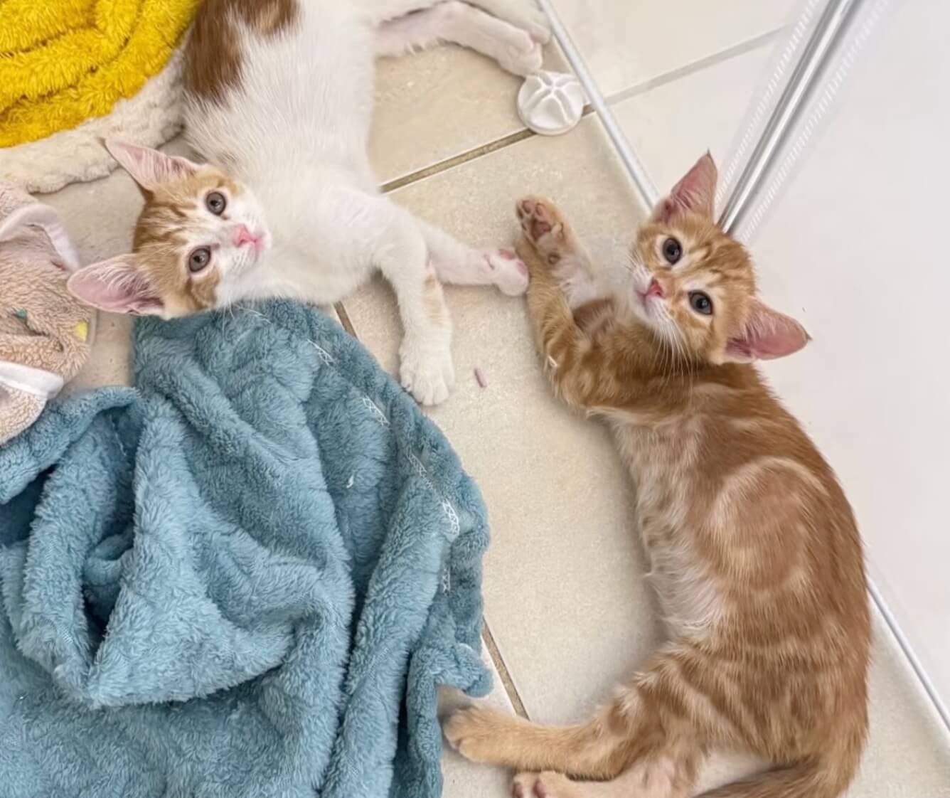 Allah and Mia thriving today