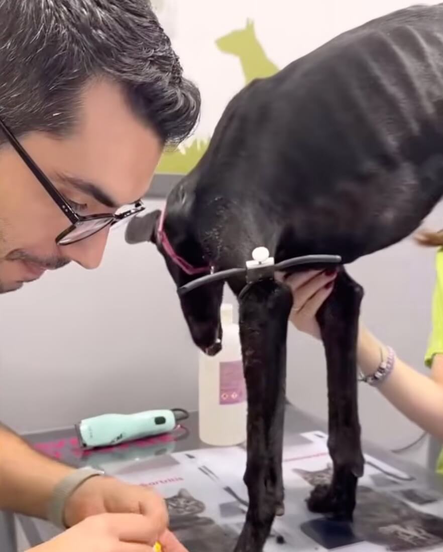 Cesar getting his treatments done