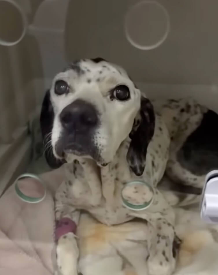 Joana before her surgery