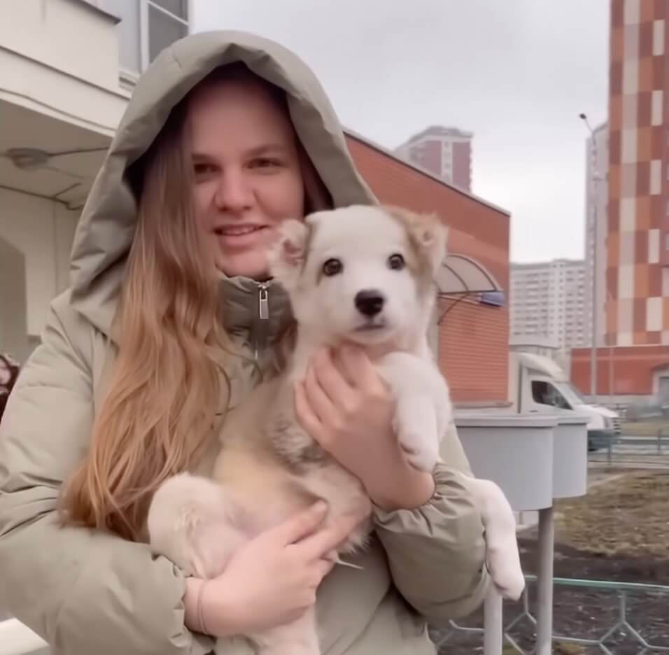 Juno got adopted