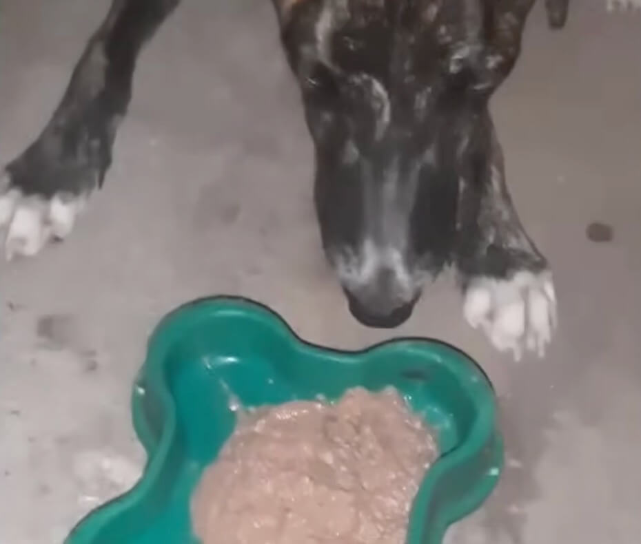 Mota eating