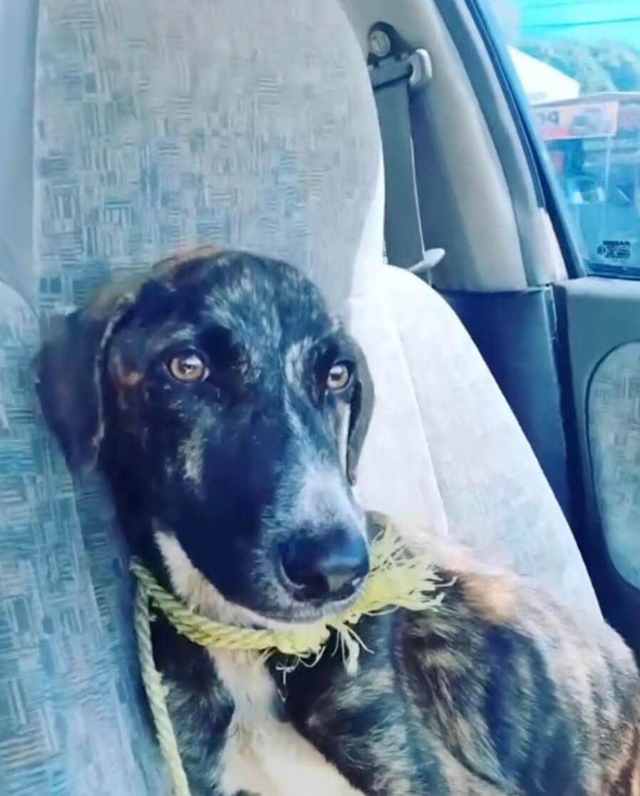 Mota going to foster home