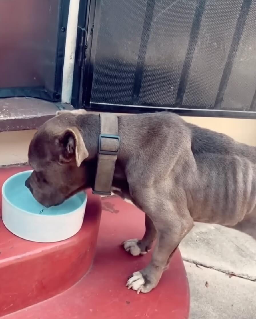 Rescuer gave her food and water