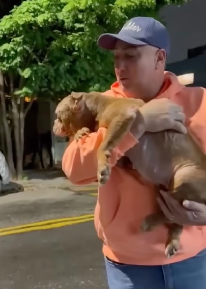 Rescuer taking her to the hospital