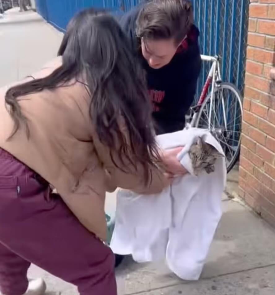 Rescuers taking him to the clinic