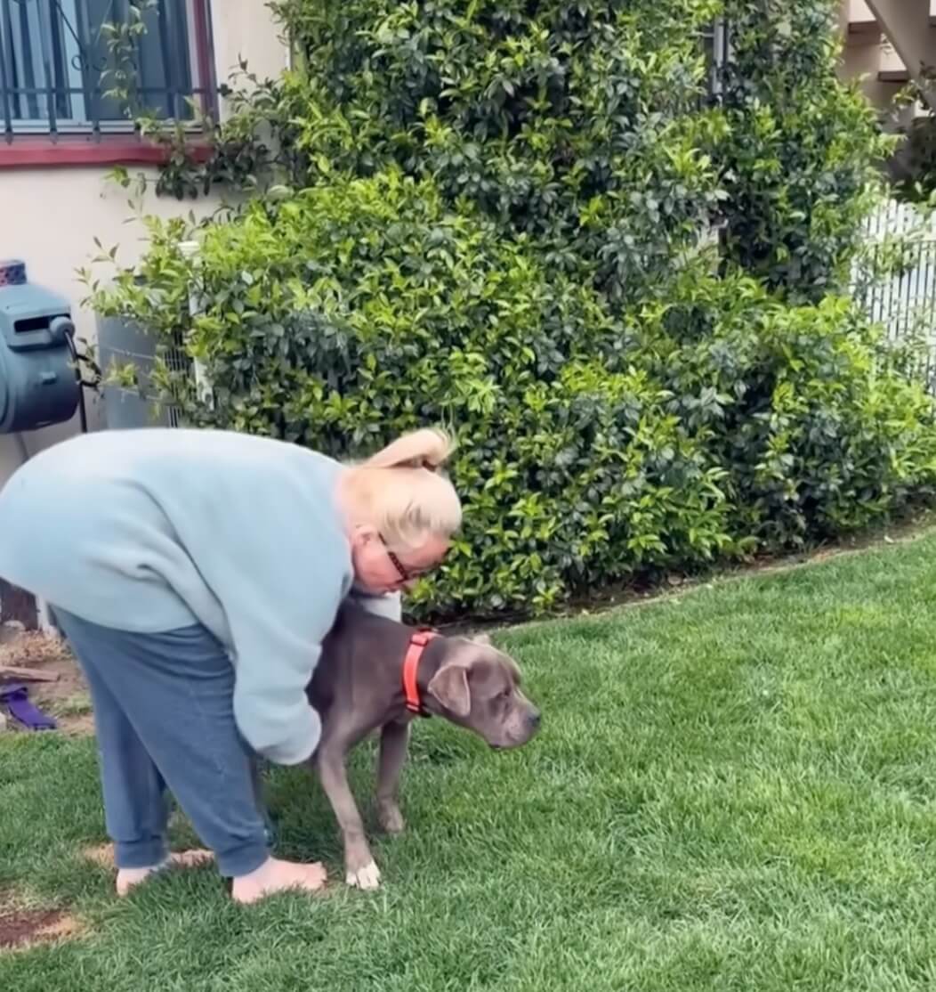 Rosie healing