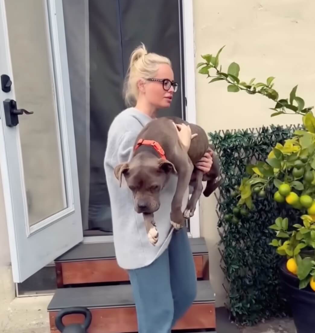 Rosie recovering
