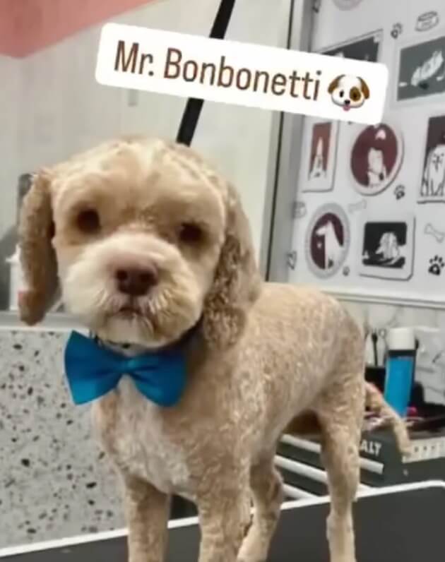 Roy after 143 days