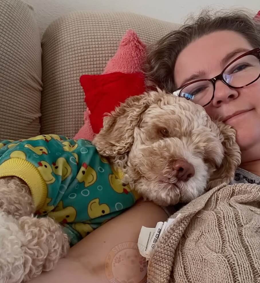 Roy in his forever home