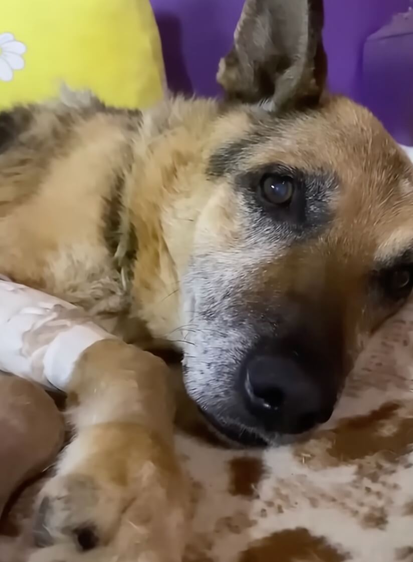 Stephen recovering after his treatment