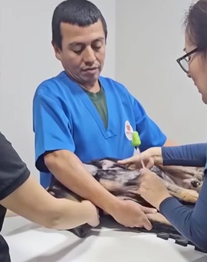 Valiente getting his treatment done