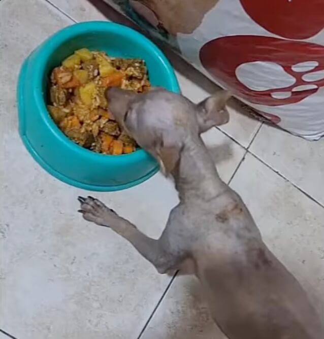 Eating