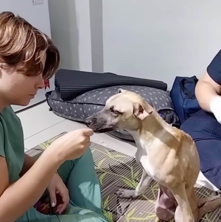 Eva after her surgery