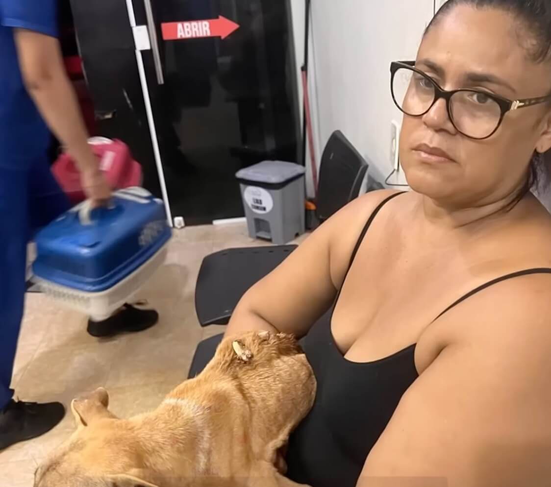 Eva at the vet clinic