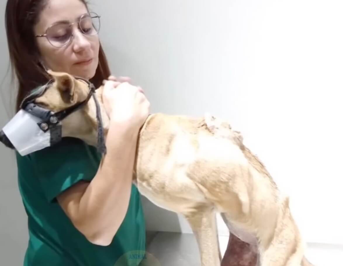 Eva before her surgery