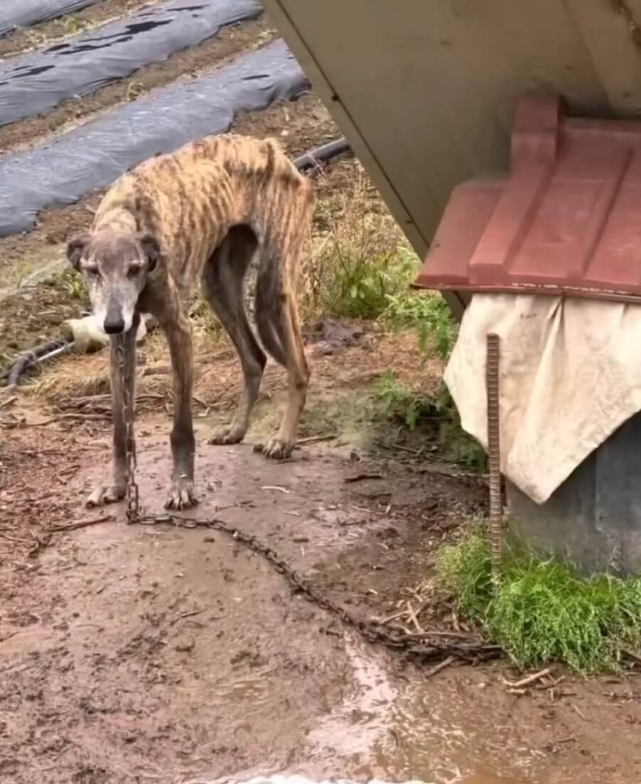 How she was found