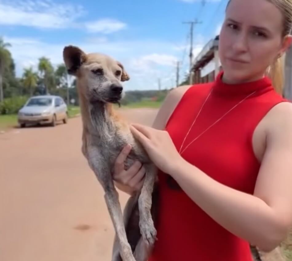 Isabela taking Clotilde to the vet