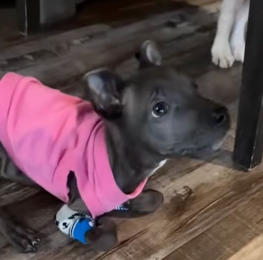 Minnie loving her wraps