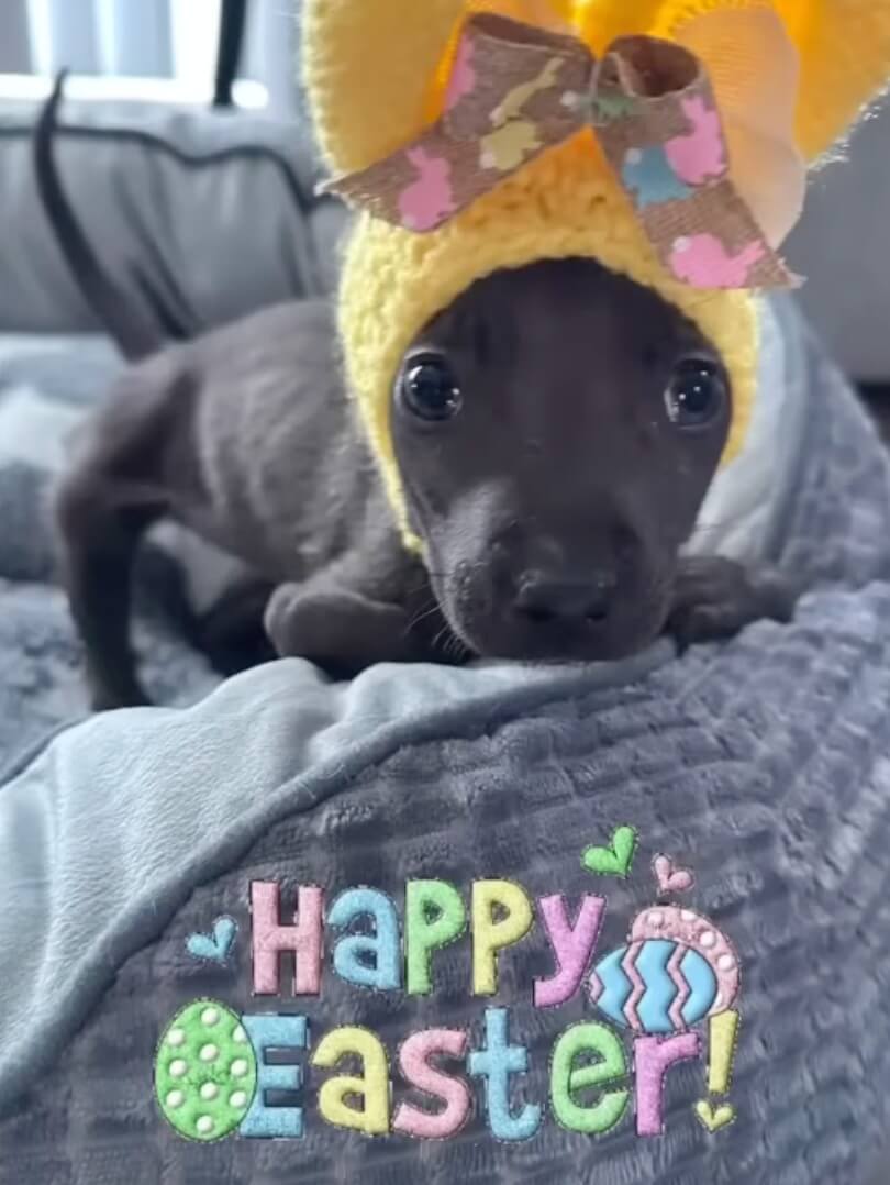 Minnie thriving