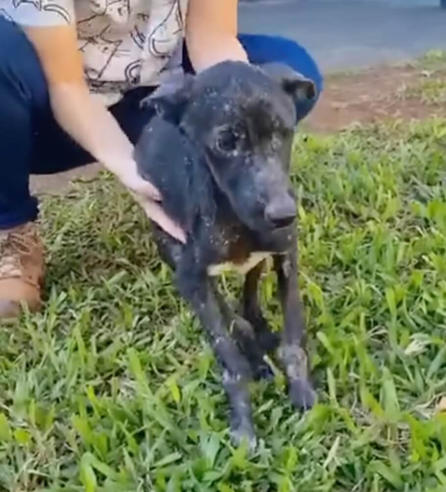 Sarita finally stood