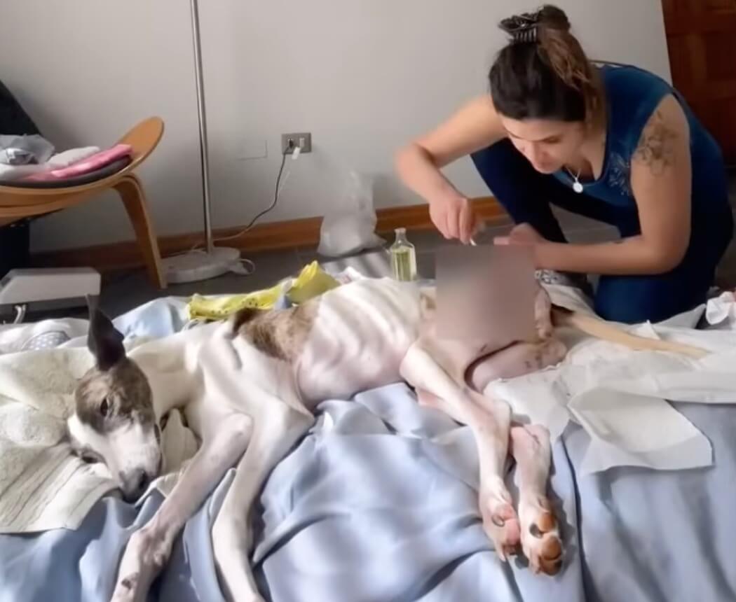 Sarita getting her treatments done