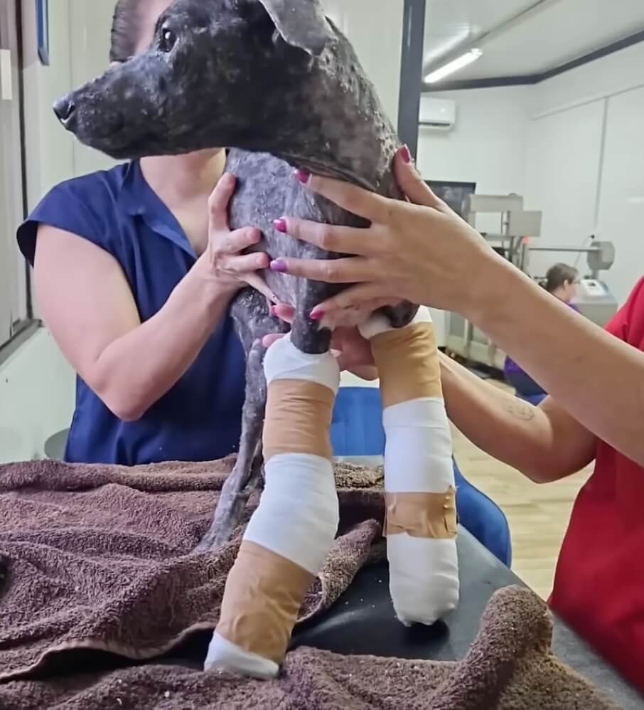 Sarita still getting her treatments done