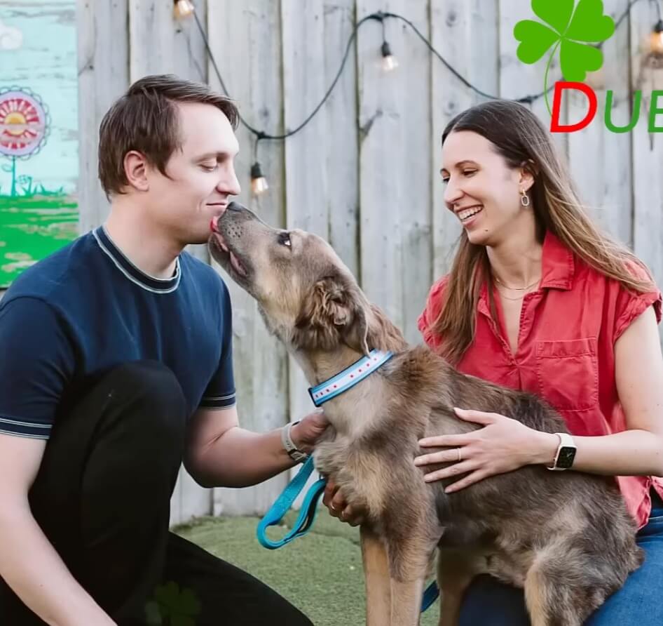 Sugar Snap got adopted