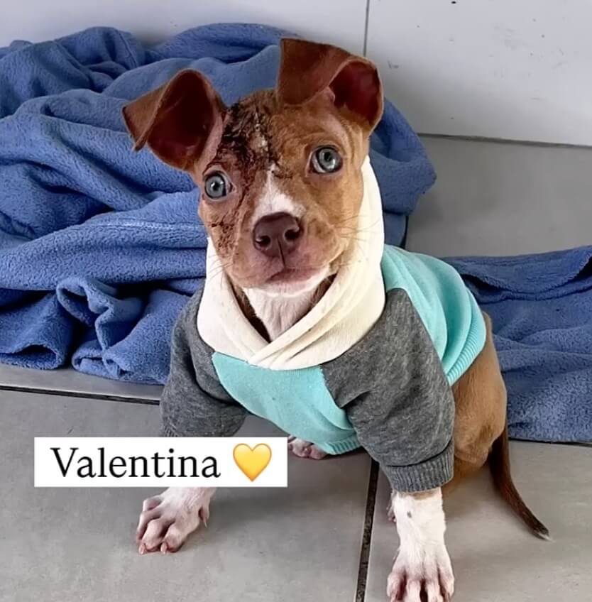 Valentina today