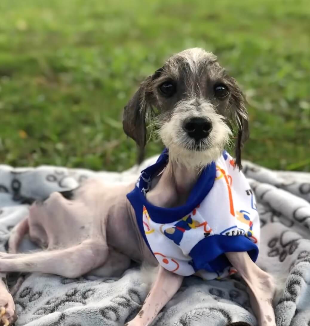 Chester recovering