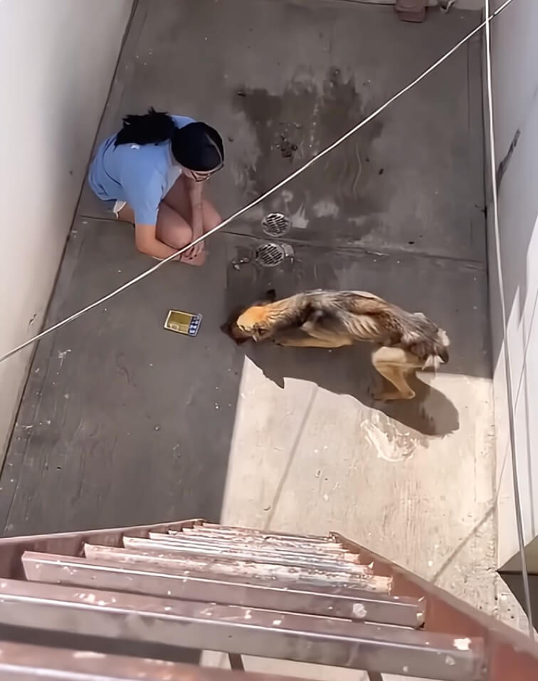 Danna meeting Zeus
