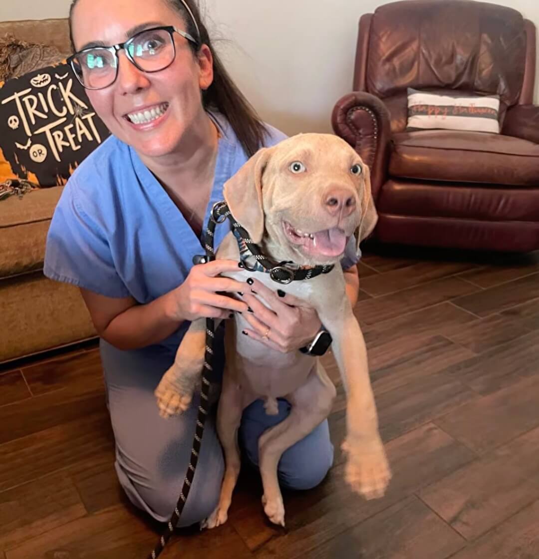 Drogon got adopted too