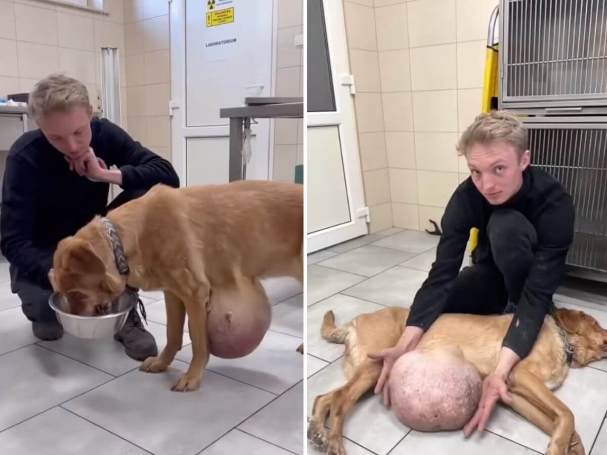 Lodzia rescue story