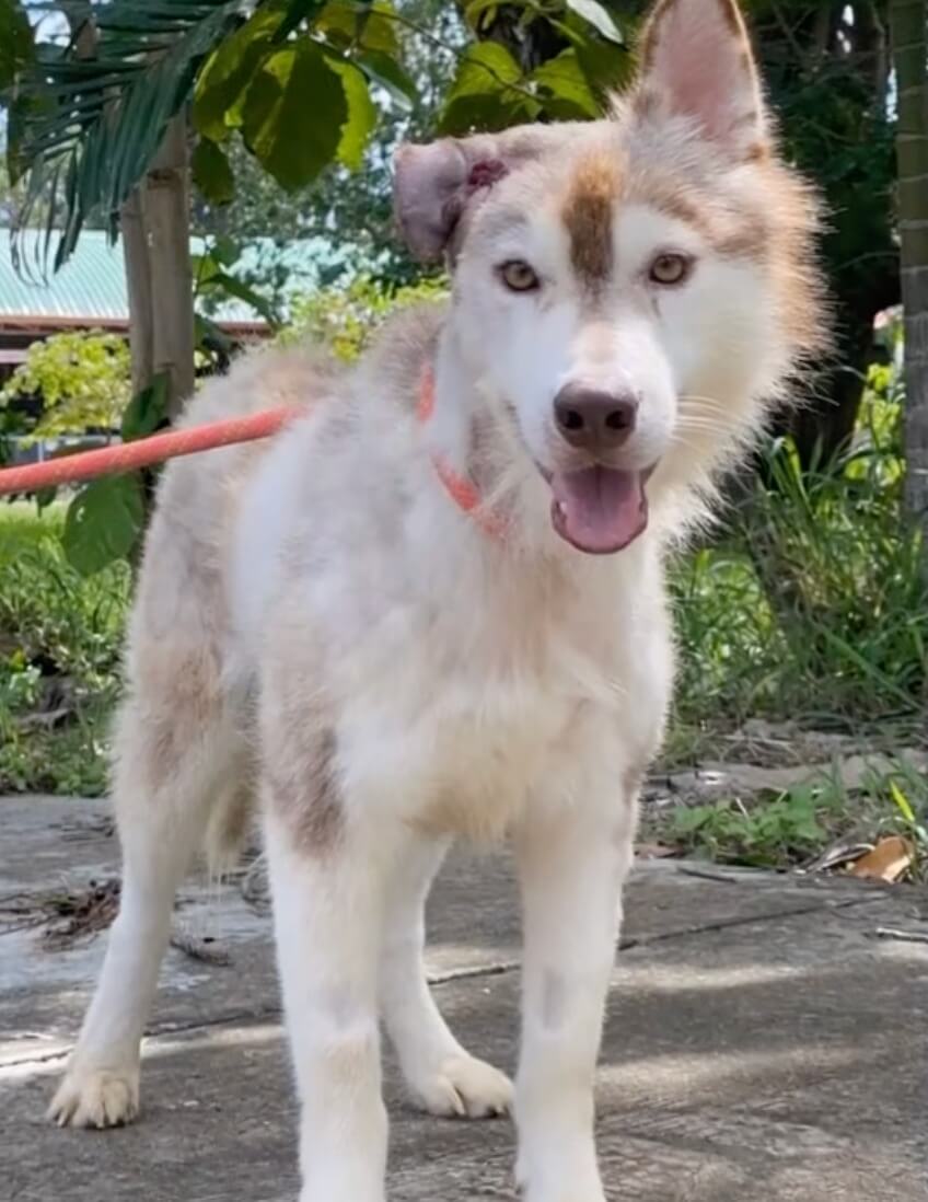 Marley today