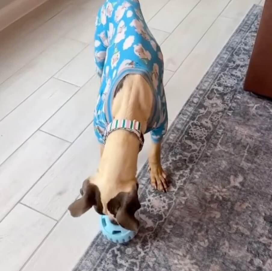 Nola learning to play