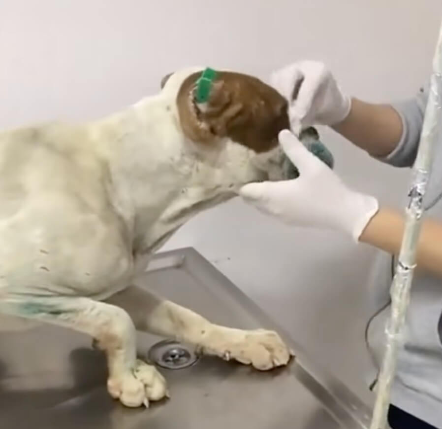 Ozgur getting his treatments done