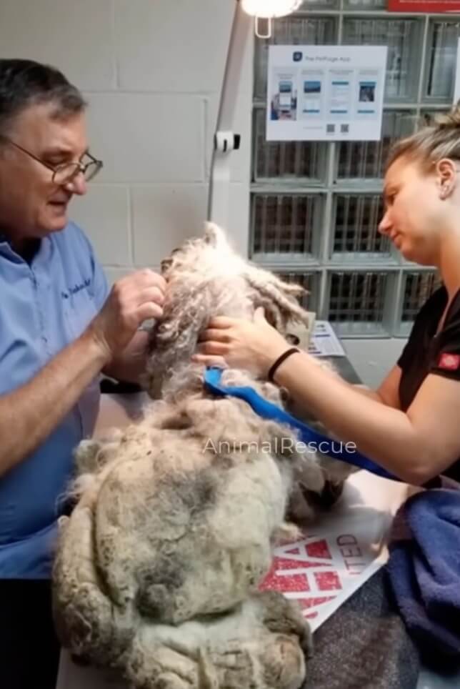 Parker getting his treatments done