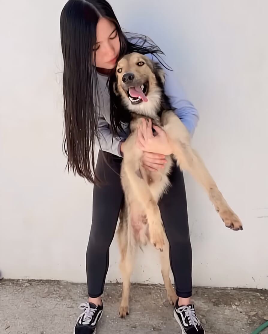 Zeus today