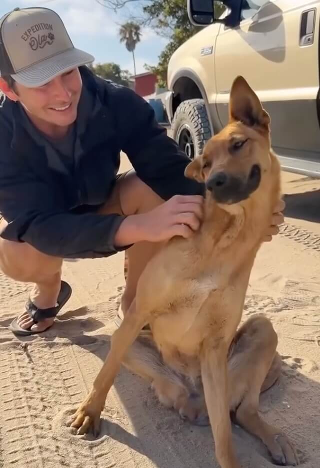 Earning Birdie's trust
