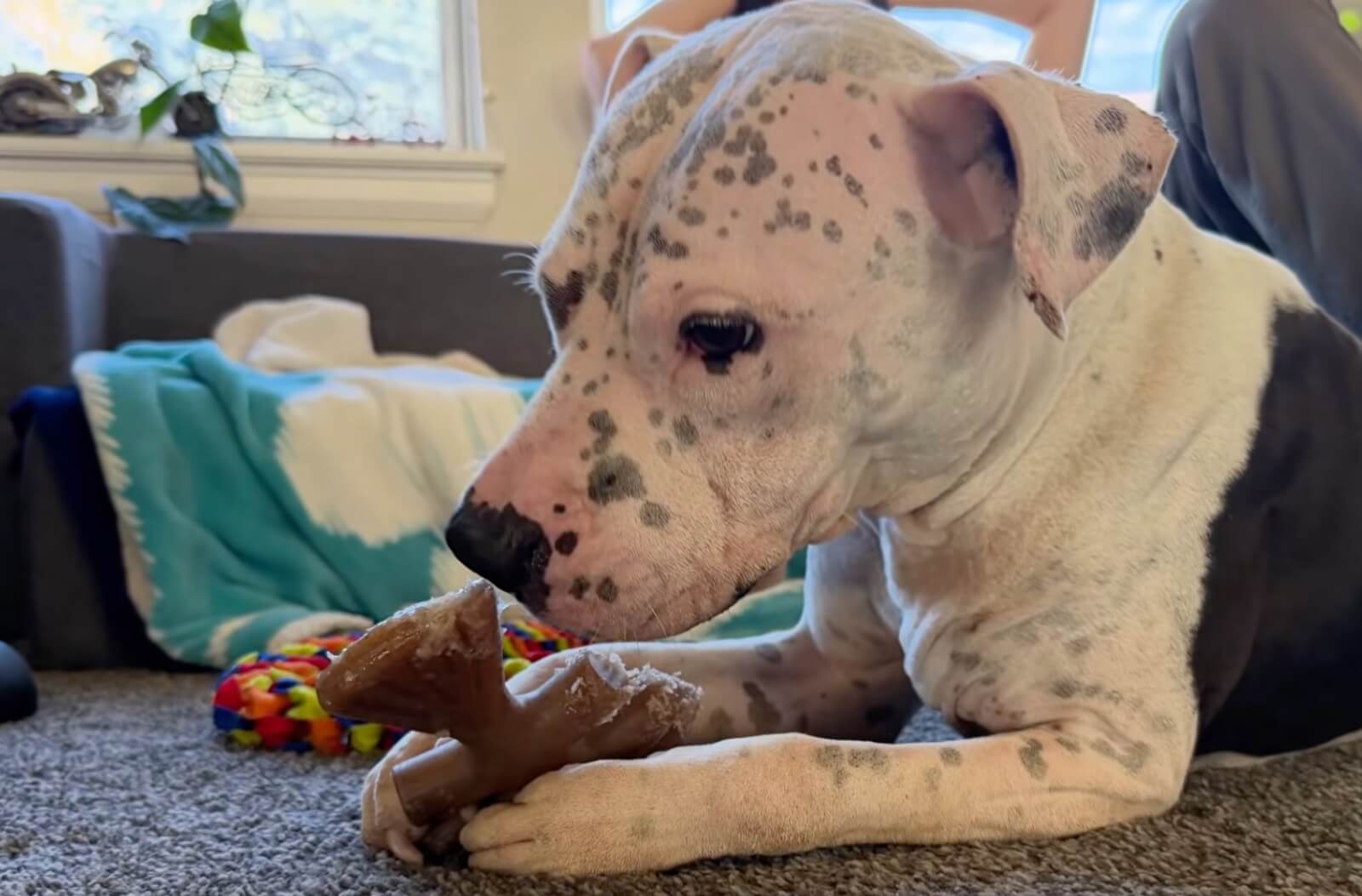 Henry healing