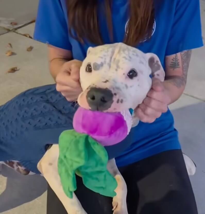 Henry with his fav toy