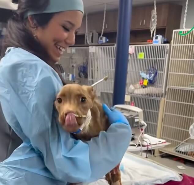 Rudy recovering