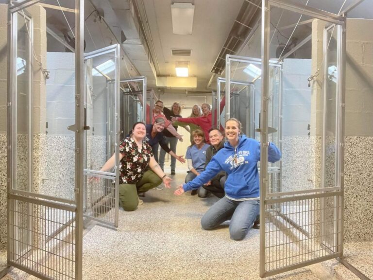 Shelter Staff Celebrate Empty Dog Kennels For The First Time In 47 Years