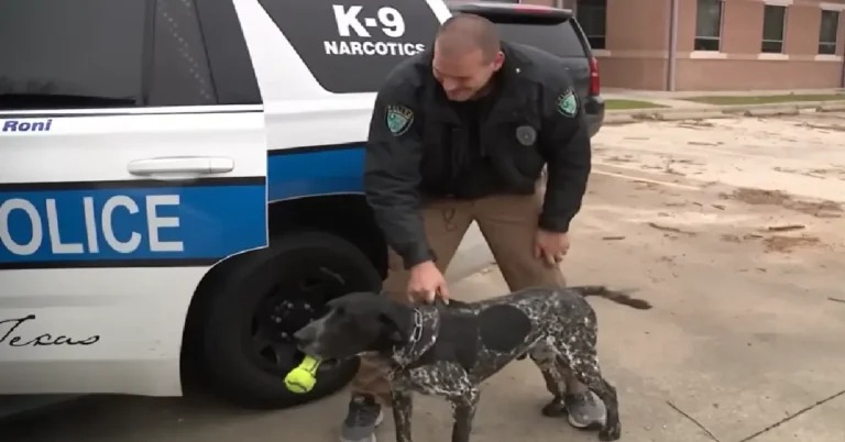 Officer Refuses to Leave His K9 Partner Behind as Tornado Tears Through Texas
